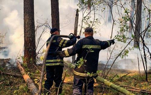 У зоні Чорнобиля вже п'ятий день тривають роботи з ліквідації пожежі: актуальна інформація.