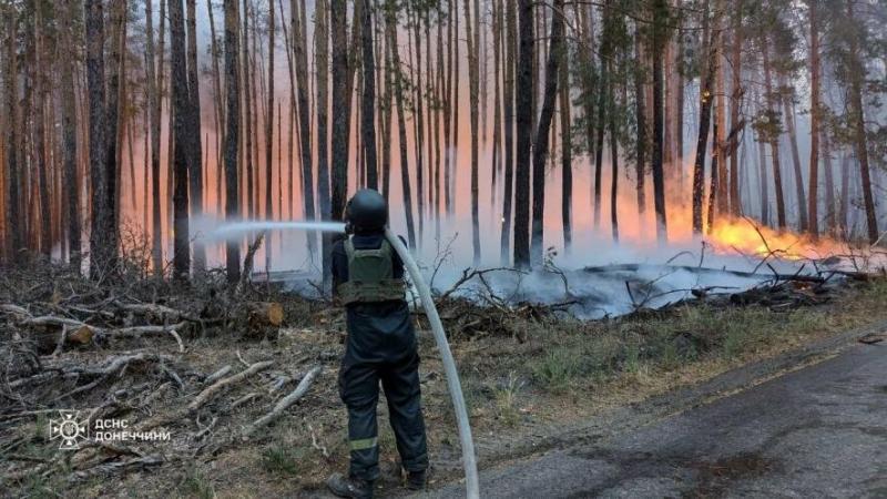 У Донецькій області вдалося приборкати велику лісову пожежу, що спалахнула на території національного парку 