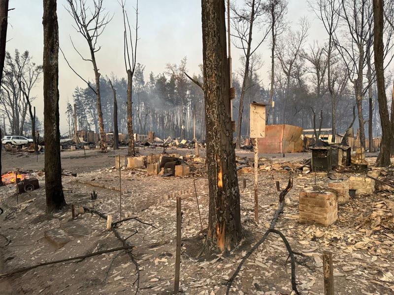 Трагедія в Харківській області: лісовий вогонь поглинув ціле село.