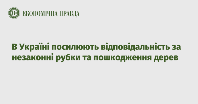 В Україні вводять більш жорсткі санкції за незаконні вирубки та ушкодження деревини.