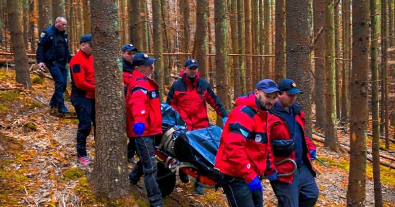 У Прикарпатті група грибників втратила орієнтир у лісі, одного з них виявили без ознак життя (фото)