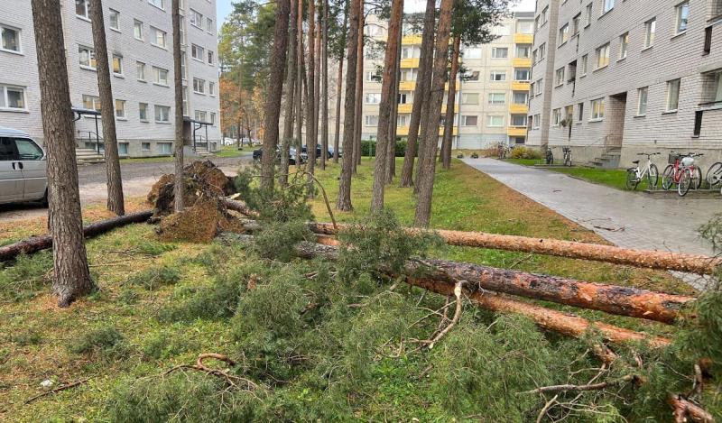 У західній частині Естонії відбувся потужний буревій, який призвів до відключення електрики в тисячах житлових будинків.